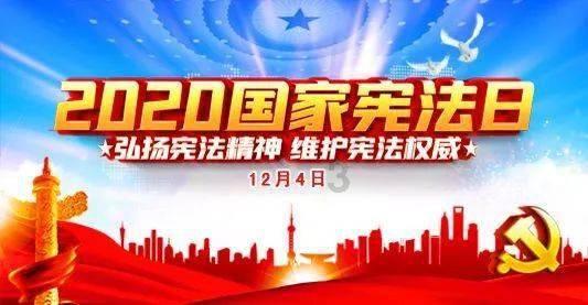 救援袋鼬
