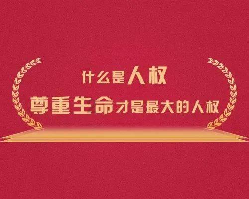 海贼王伟大冒险